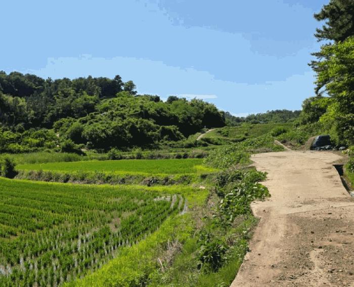경상남도 진주시 정촌면 소곡리 564-1 답 경매 사진 5