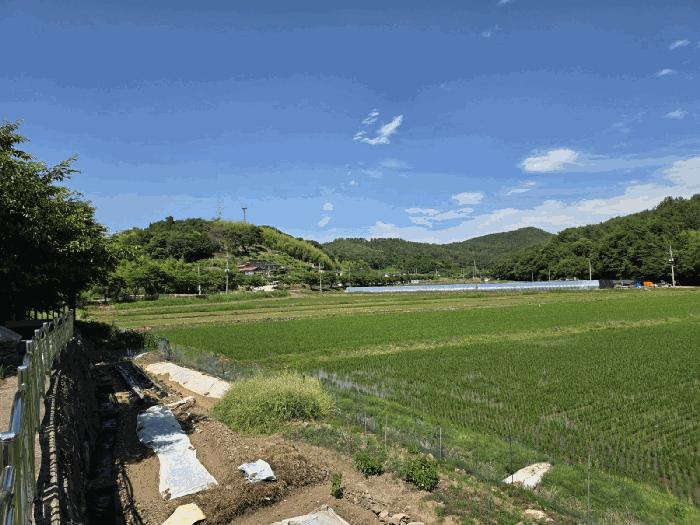 경상남도 진주시 정촌면 소곡리 578 답 경매 사진 2