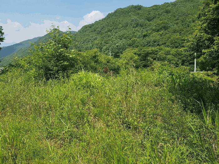 경상남도 산청군 신안면 안봉리 54-1 주택 경매 사진 15