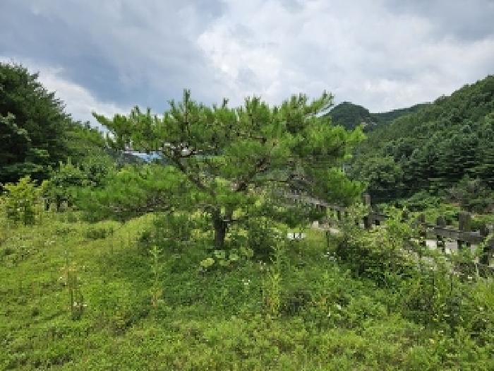 경상남도 산청군 신안면 안봉리 54-1 주택 경매 사진 20