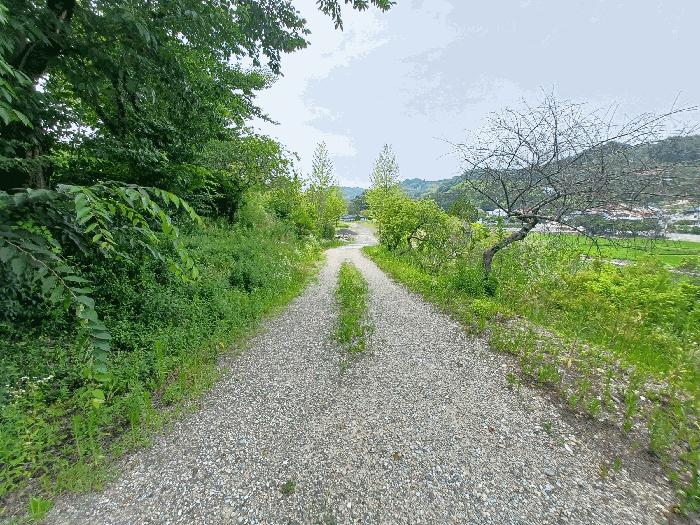 경상남도 진주시 대곡면 유곡리 215-1 주택 경매 사진 13