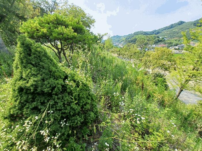 경상남도 진주시 대곡면 유곡리 215-1 주택 경매 사진 18