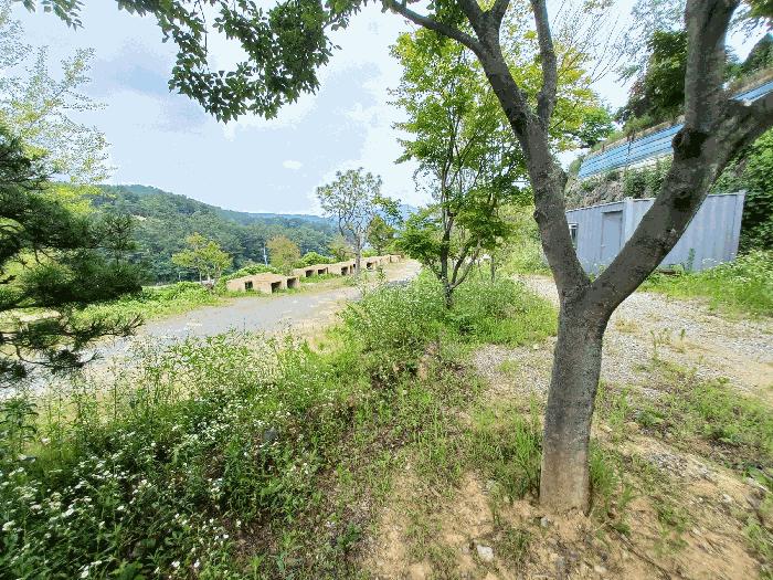 경상남도 진주시 대곡면 유곡리 215-1 주택 경매 사진 6