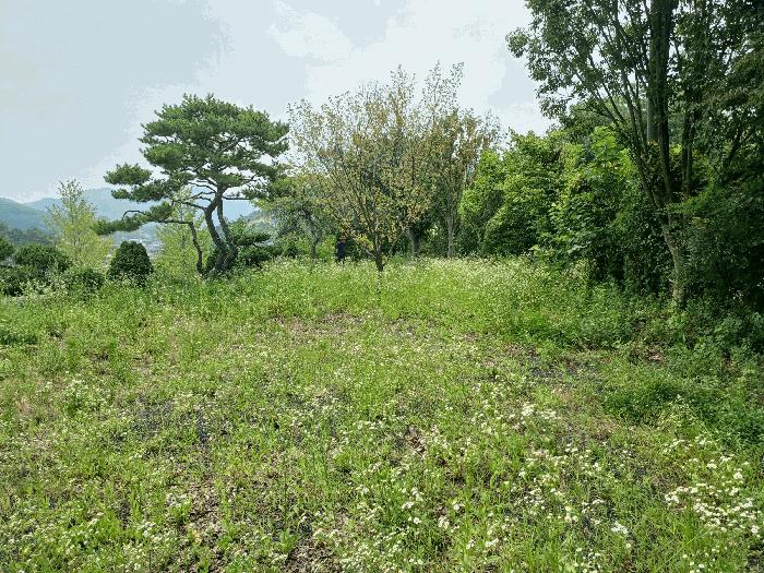경상남도 진주시 대곡면 유곡리 215-1 주택 경매 사진 8