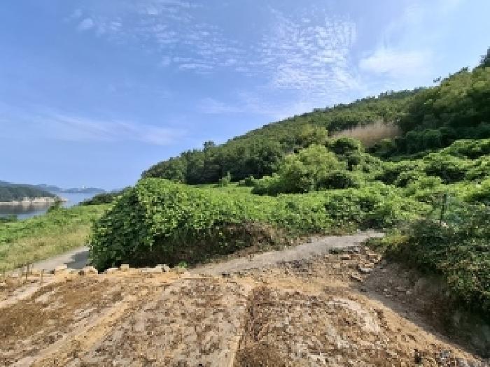 경상남도 남해군 상주면 상주리 2142 답 경매 사진 6