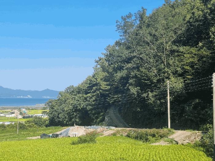 경상남도 남해군 설천면 문의리 161-1 임야 경매 사진 10