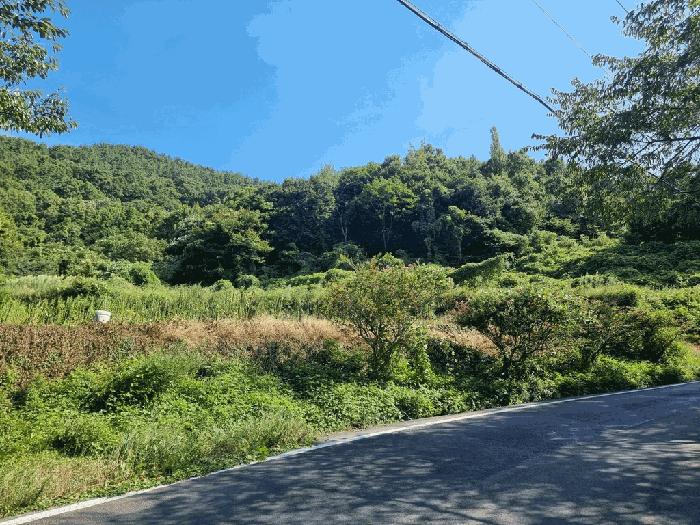 경상남도 남해군 설천면 문의리 161-1 임야 경매 사진 12