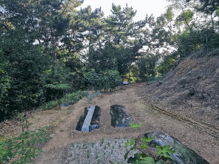 경상남도 남해군 설천면 문의리 161-1 임야 경매 사진 5