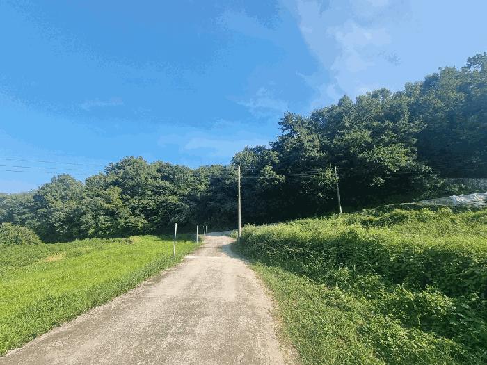 경상남도 남해군 서면 서상리 770 답 경매 사진 1