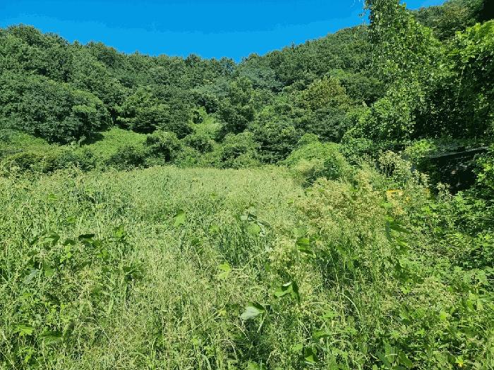 경상남도 남해군 서면 서상리 770 답 경매 사진 14