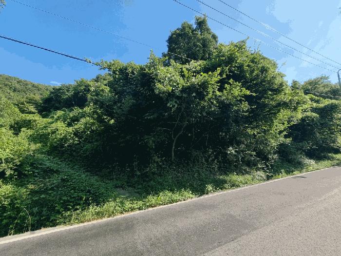 경상남도 남해군 서면 서상리 770 답 경매 사진 16