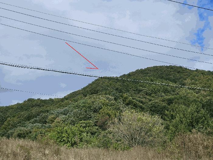 경기도 포천시 영북면 산정리 산9-118 임야 경매 사진 2