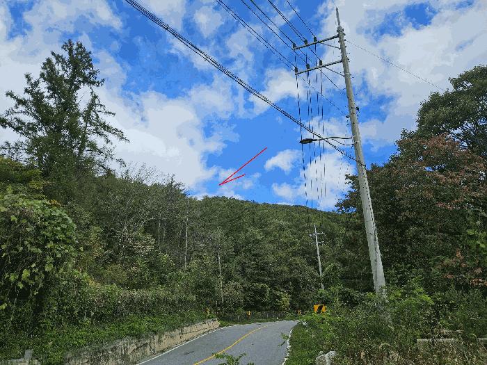 경기도 포천시 영북면 산정리 산9-118 임야 경매 사진 4