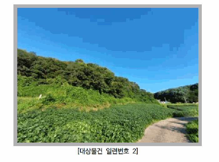 경기도 연천군 군남면 선곡리 산137 임야 경매 사진 2