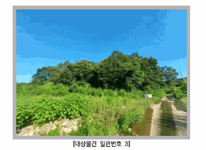 경기도 연천군 군남면 선곡리 산137 임야 경매 사진 3
