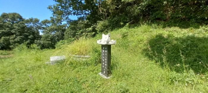 경기도 연천군 군남면 선곡리 산177 임야 경매 사진 13