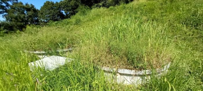 경기도 연천군 군남면 선곡리 산177 임야 경매 사진 14