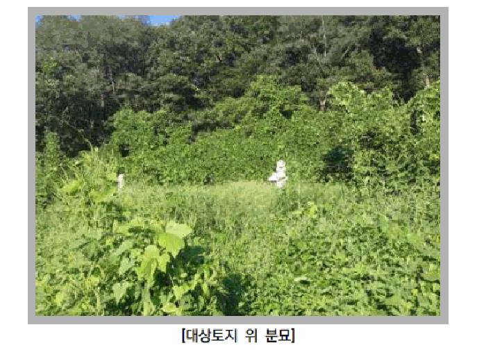 경기도 연천군 군남면 선곡리 산177 임야 경매 사진 4