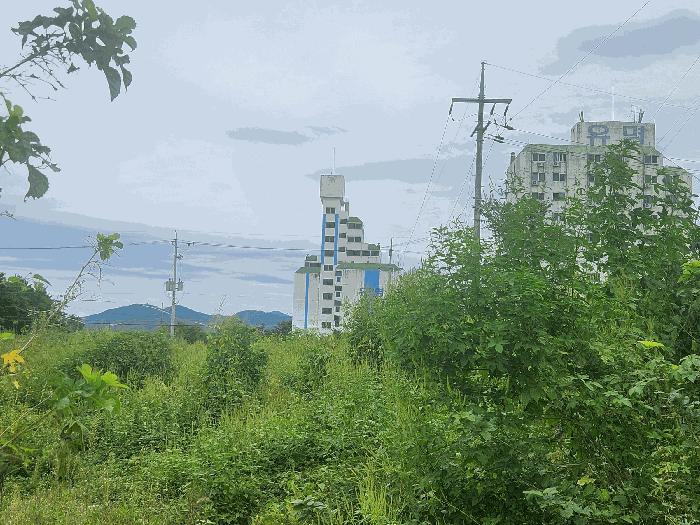 강원특별자치도 철원군 동송읍 이평리 572-56 대지 경매 사진 2