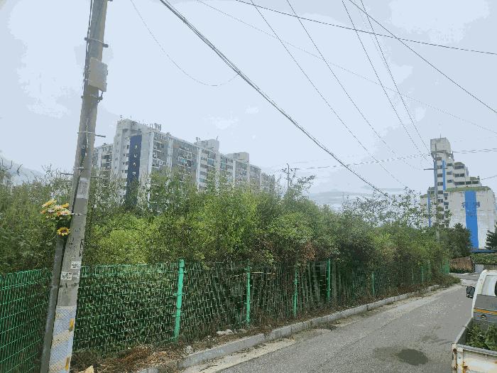 강원특별자치도 철원군 동송읍 이평리 572-56 대지 경매 사진 3