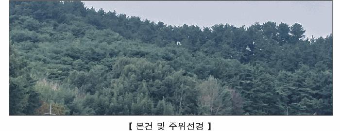 충청남도 서천군 임야