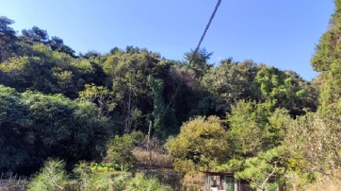 충청남도 서천군 시초면 선동리 산42-13 임야 경매 사진 4