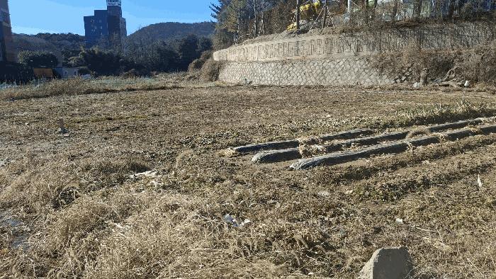 충청남도 예산군 덕산면 사동리 425 대지 경매 사진 4