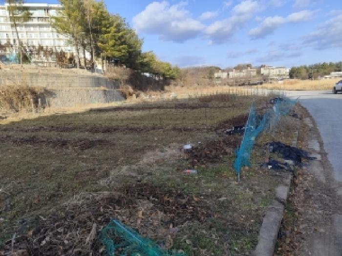 충청남도 예산군 덕산면 사동리 425 대지 경매 사진 8