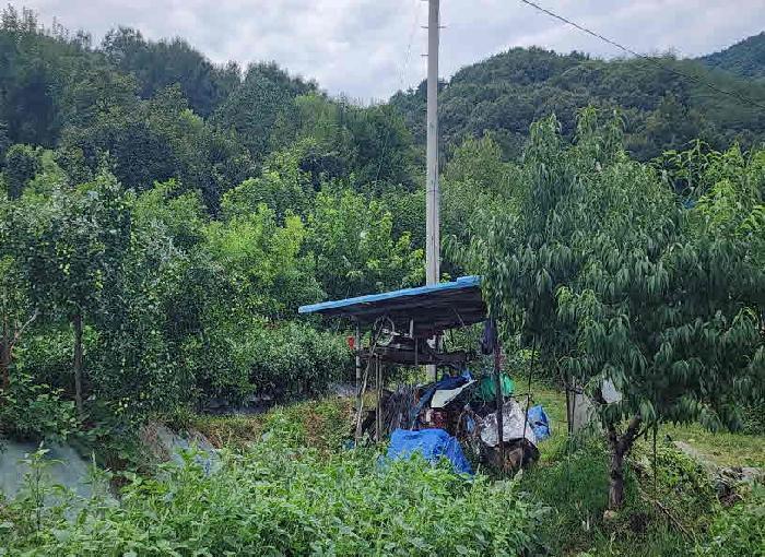 충청북도 옥천군 청산면 백운리 269 전 경매 사진 13