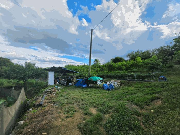 충청북도 옥천군 청산면 백운리 269 전 경매 사진 4