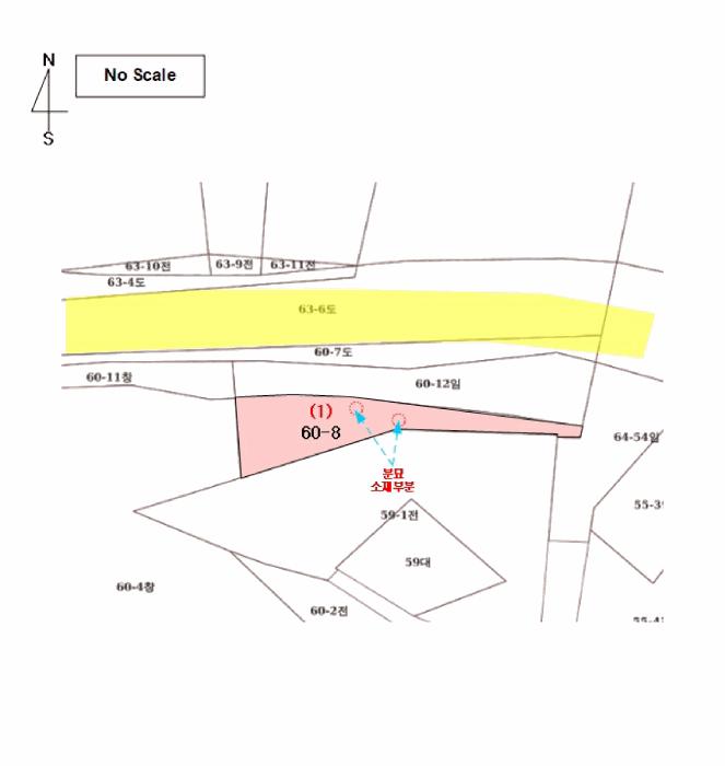 충청남도 홍성군 홍북읍 봉신리 60-8 임야 경매 사진 9