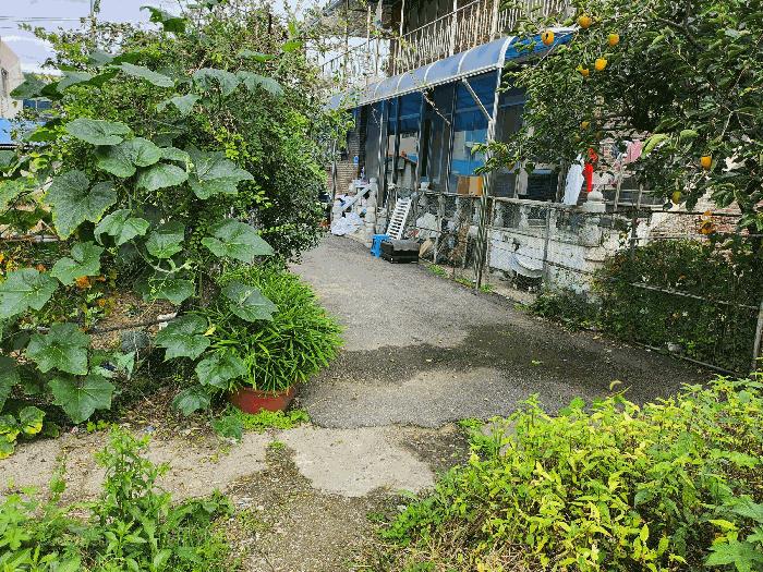 충청남도 예산군 예산읍 신례원리 313-2 답 경매 사진 6