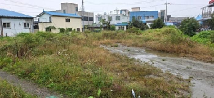 충청남도 예산군 예산읍 신례원리 313-2 답 경매 사진 7