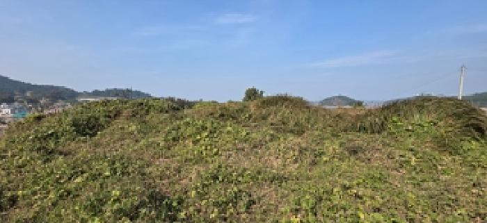 충청남도 보령시 오천면 원산도리 1240 전 경매 사진 2