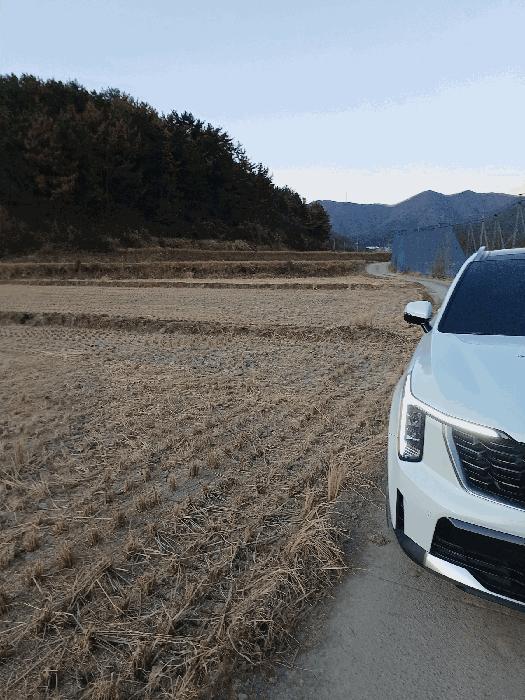 경상북도 경주시 현곡면 무과리 298 답 경매 사진 3