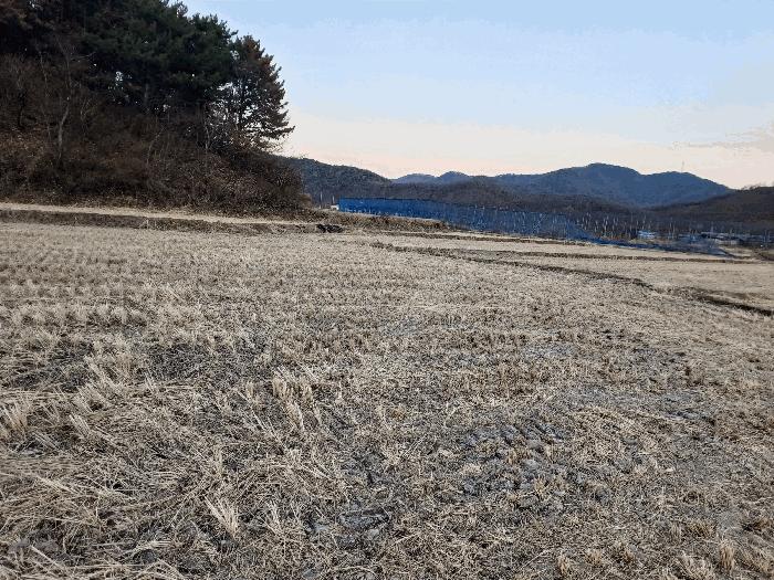 경상북도 경주시 현곡면 무과리 298 답 경매 사진 4