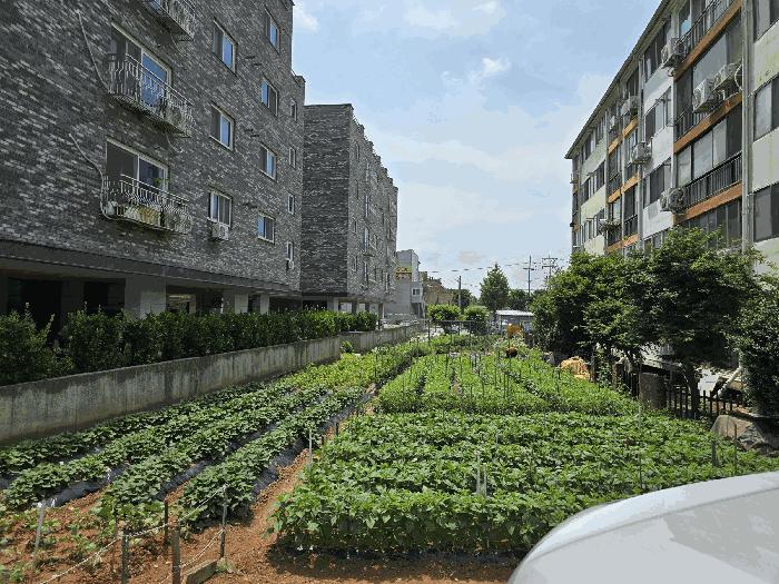 충청남도 천안시 서북구 성환읍 매주리 323-2 4층402호 다세대(빌라) 경매 사진 4