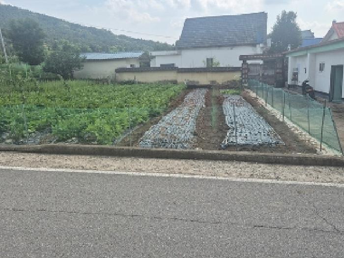 충청남도 천안시 동남구 병천면 탑원리 117-2 대지 경매 사진 14