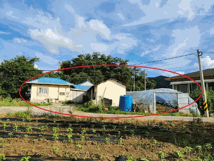 충청남도 아산시 음봉면 원남리 133-1 전 경매 사진 2