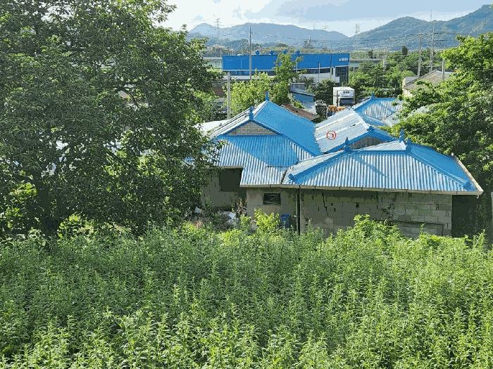 충청남도 아산시 음봉면 원남리 133-1 전 경매 사진 4