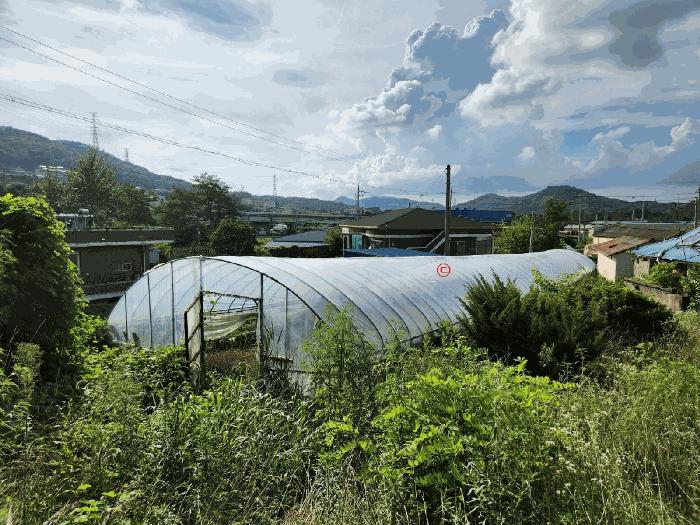 충청남도 아산시 음봉면 원남리 133-1 전 경매 사진 6