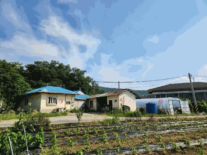 충청남도 아산시 음봉면 원남리 133-1 전 경매 사진 8