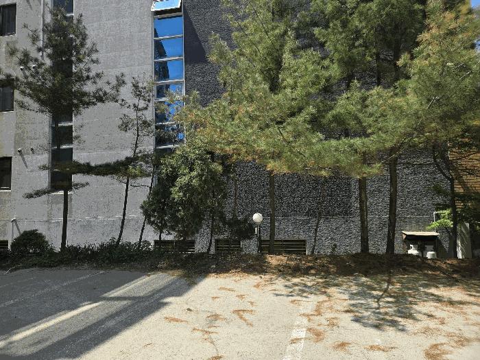 충청남도 태안군 안면읍 창기리 1269-162 숙박시설 경매 사진 7