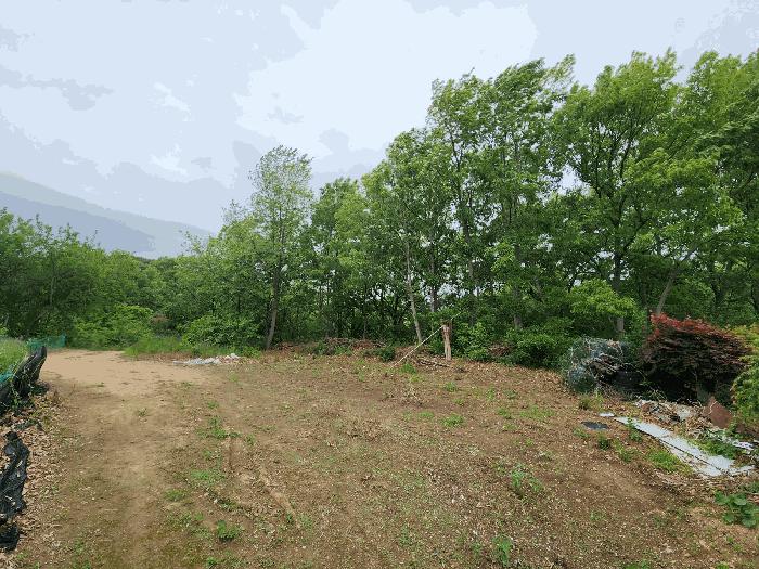 충청남도 당진시 석문면 교로리 산143-1 임야 경매 사진 4