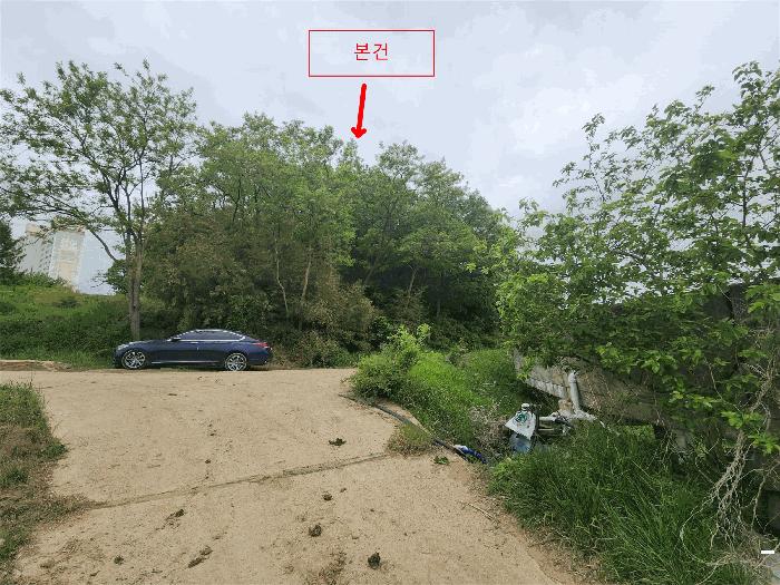 충청남도 당진시 석문면 교로리 산143-1 임야 경매 사진 5