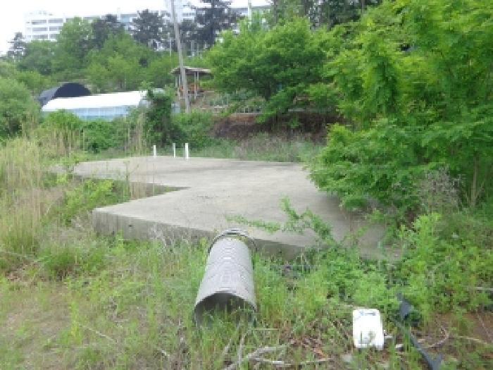 충청남도 태안군 태안읍 동문리 778 전 경매 사진 11