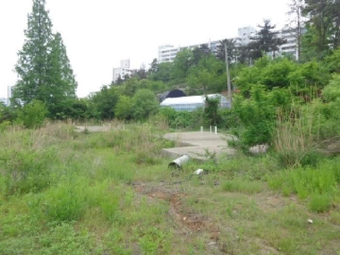 충청남도 태안군 태안읍 동문리 778 전 경매 사진 14