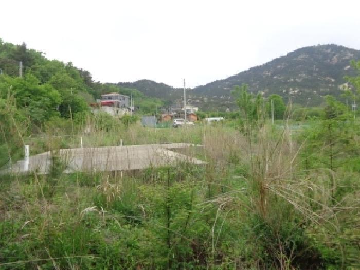충청남도 태안군 태안읍 동문리 778 전 경매 사진 15