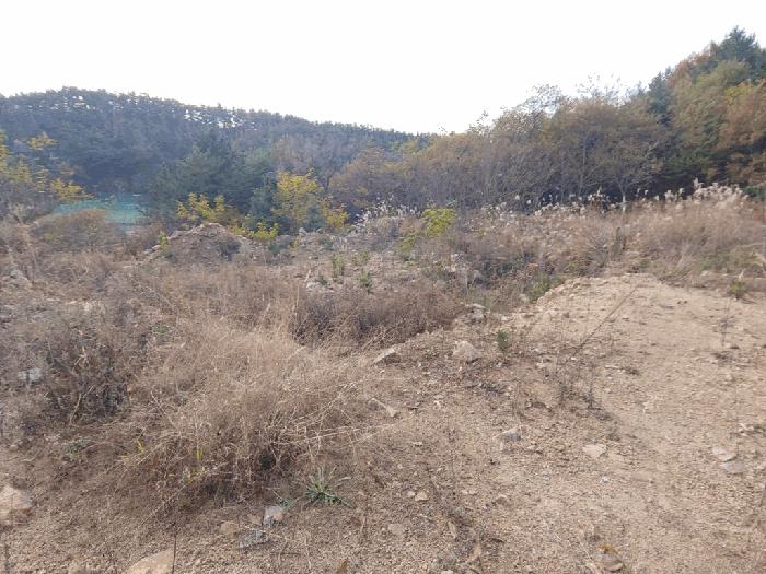충청남도 태안군 임야