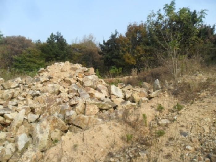 충청남도 태안군 태안읍 평천리 728-6 임야 경매 사진 11